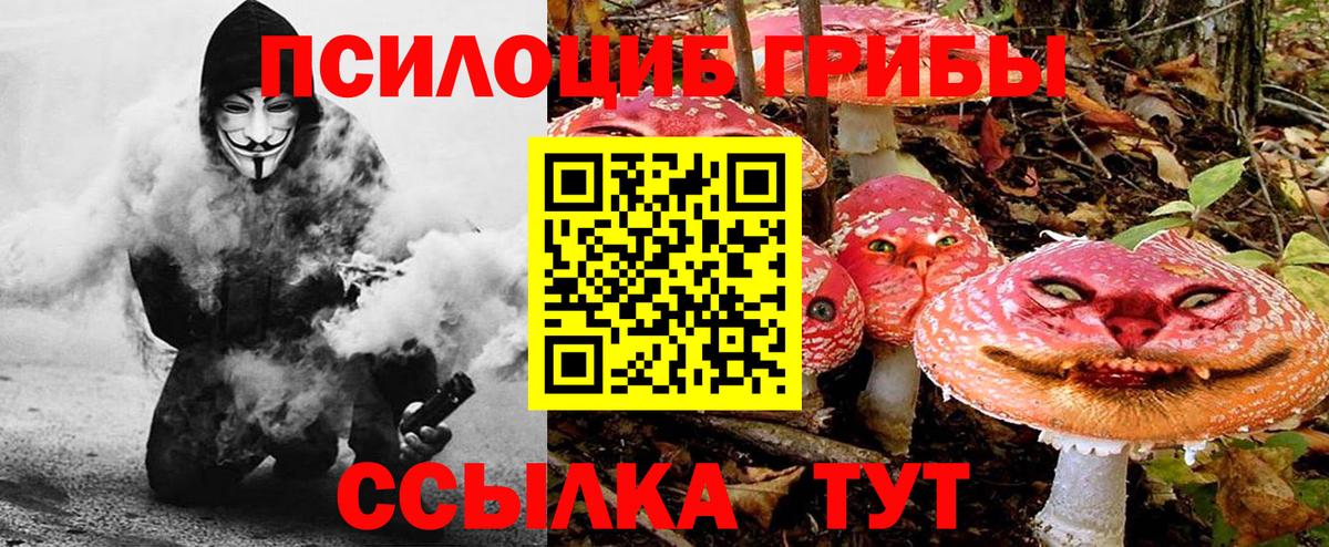 Сызрань  Псилоцибиновые грибы GOLDEN TEACHER  Вход с VPN 