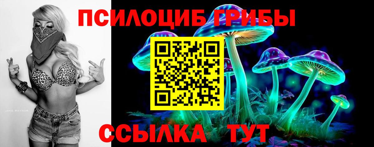 Галлюциногенные грибы Psilocybine cubensis Сызрань